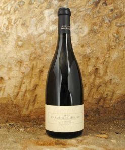 Chambolle-Musigny 1er Cru – Les Charmes 2021 – Amiot Servelle